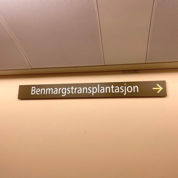 Egen avdeling for benmargstransplantasjon